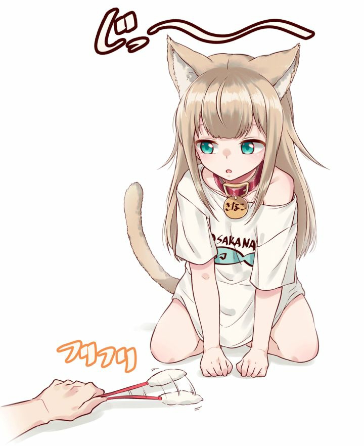 p站美图40原老师的猫娘kinako