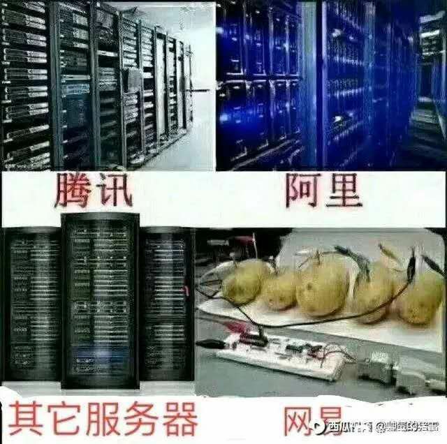 网易服务器崩溃撒花