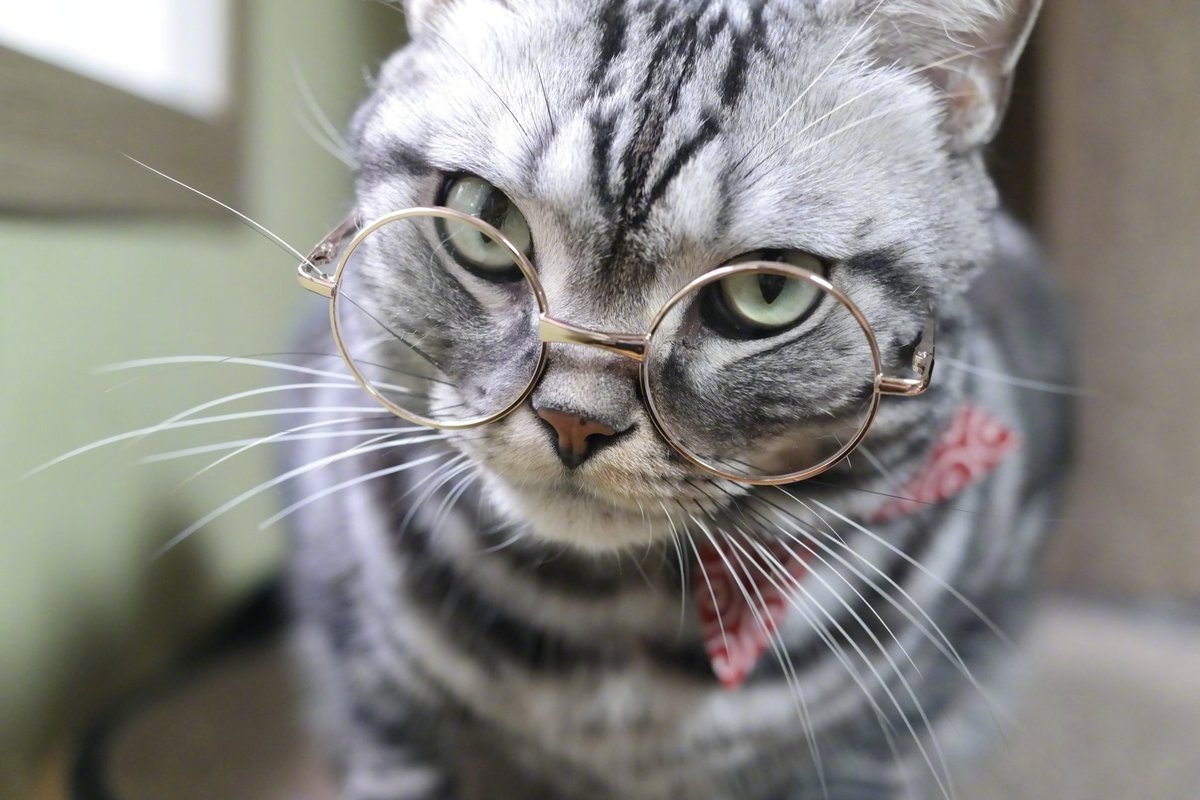 【今日萌图】代入感有点强,塞到牙缝了,很难受