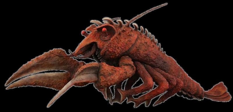 菜市场百态龙虾娘伊比拉香蕉class