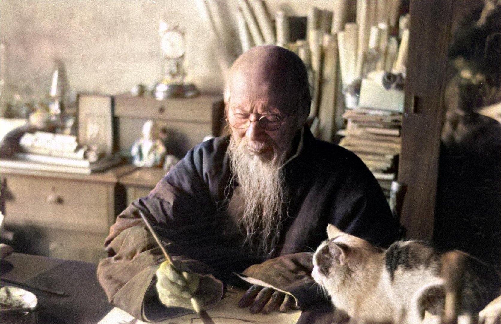 今日萌图齐白石和他的猫