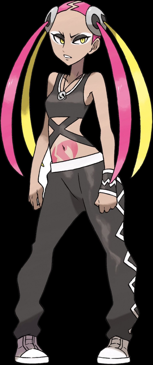 精灵宝可梦精通某一属性的强者训练家毒系