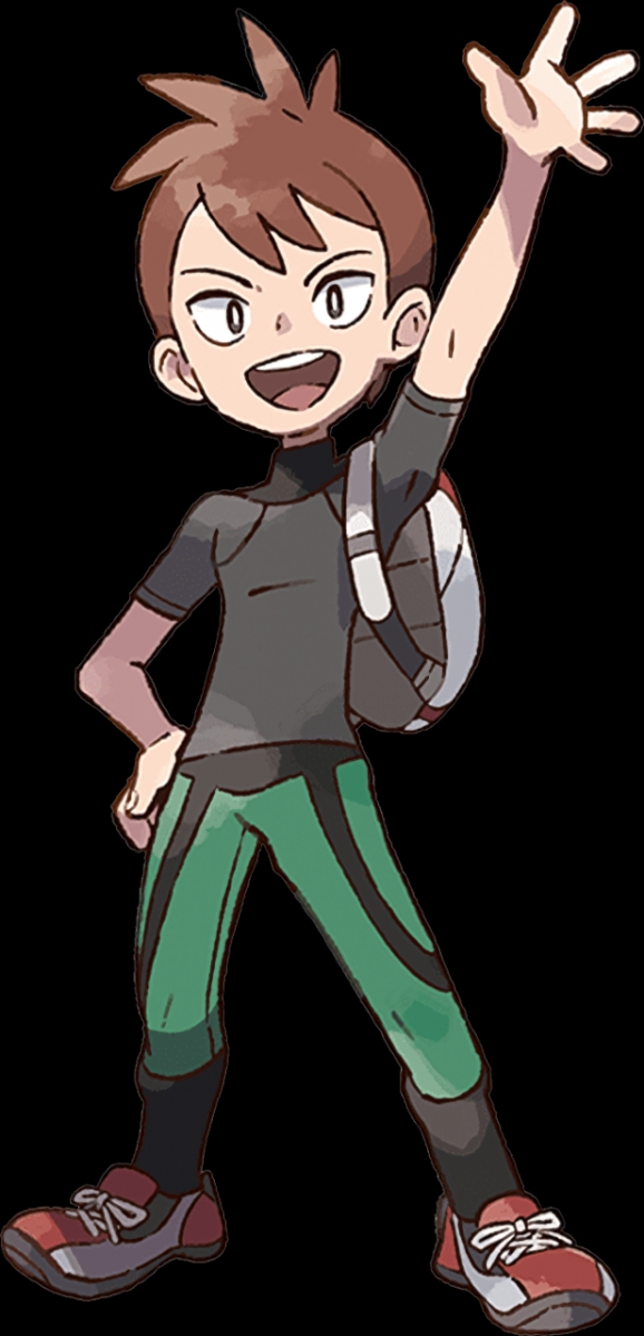 精灵宝可梦精通多种属性成为强者的训练家