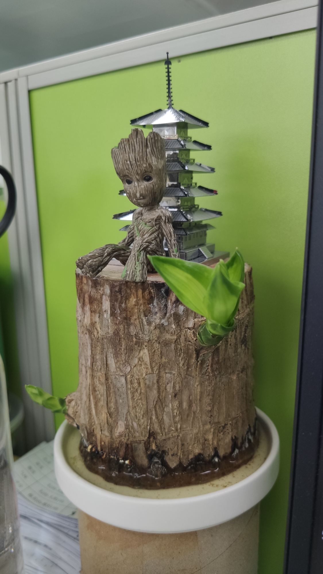 只有我网购的巴旦木有点苗头.