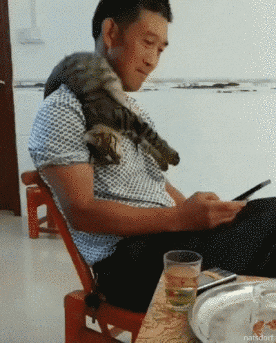 颈部挂件只是因为在人群中多看了你一眼不及小黑赠我情东成西就有我陪