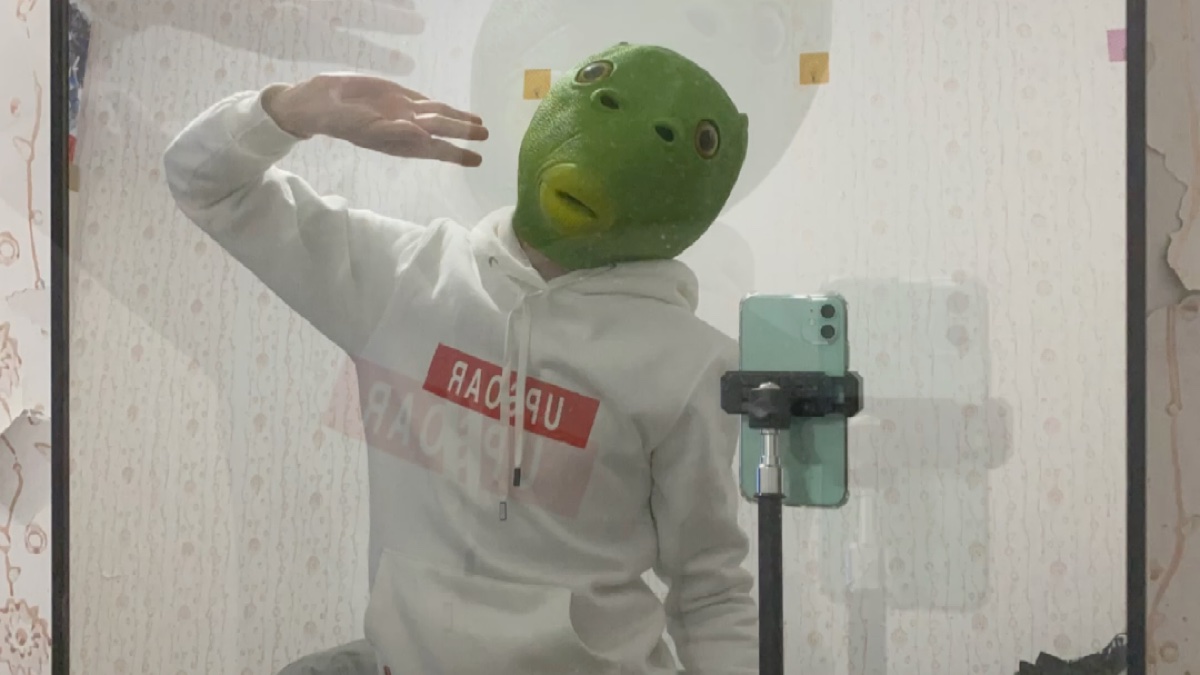 沙雕迷惑行为大赏