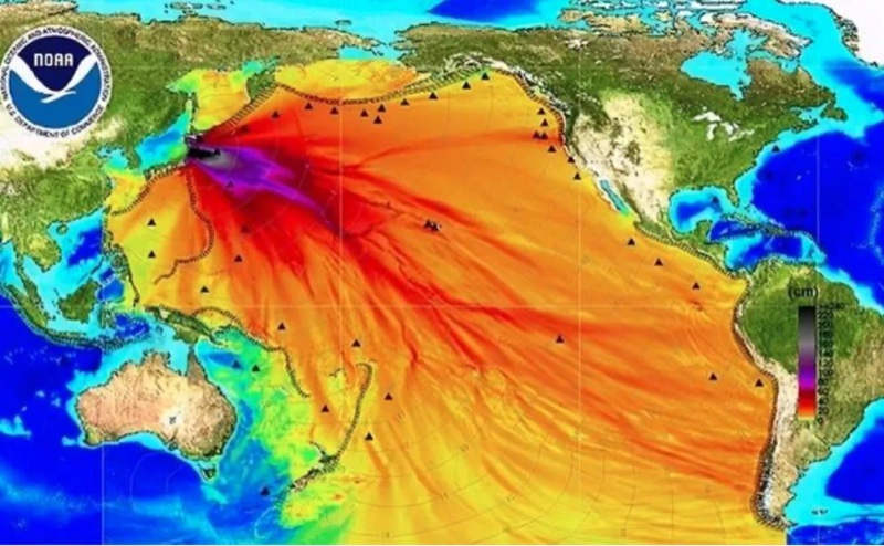 日本政府宣布基本决定要将福岛核泄漏废水排到太平洋里