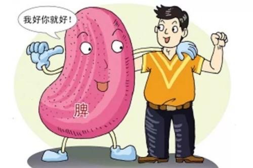 脾胃不好脾胃虚弱的人怎么调理