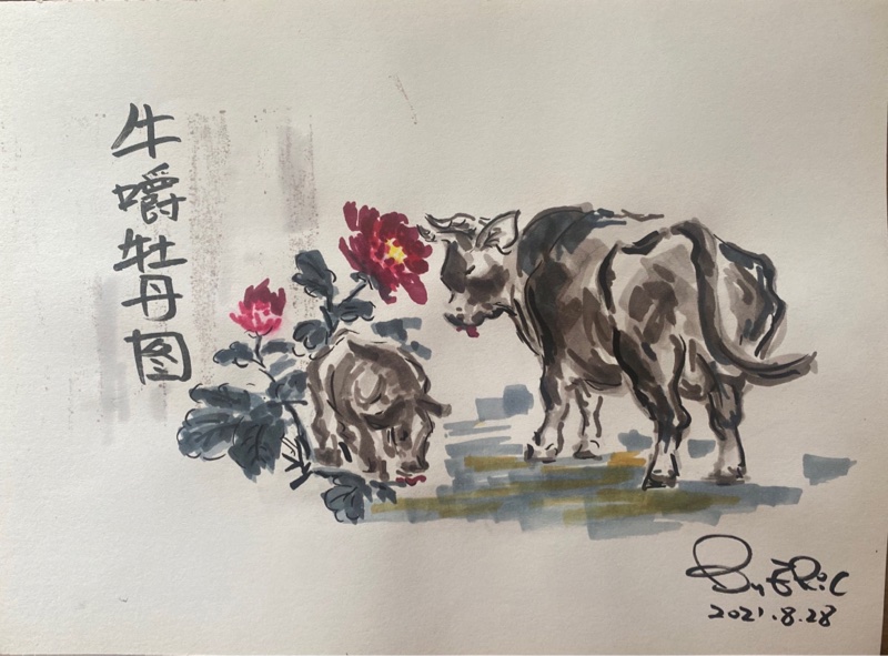 搪一个牛嚼牡丹