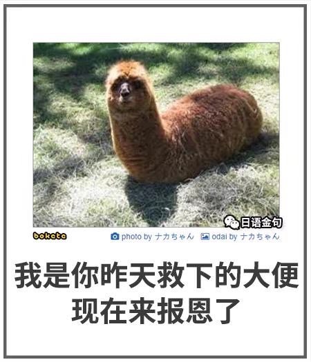 日式冷笑话你以为你走得掉