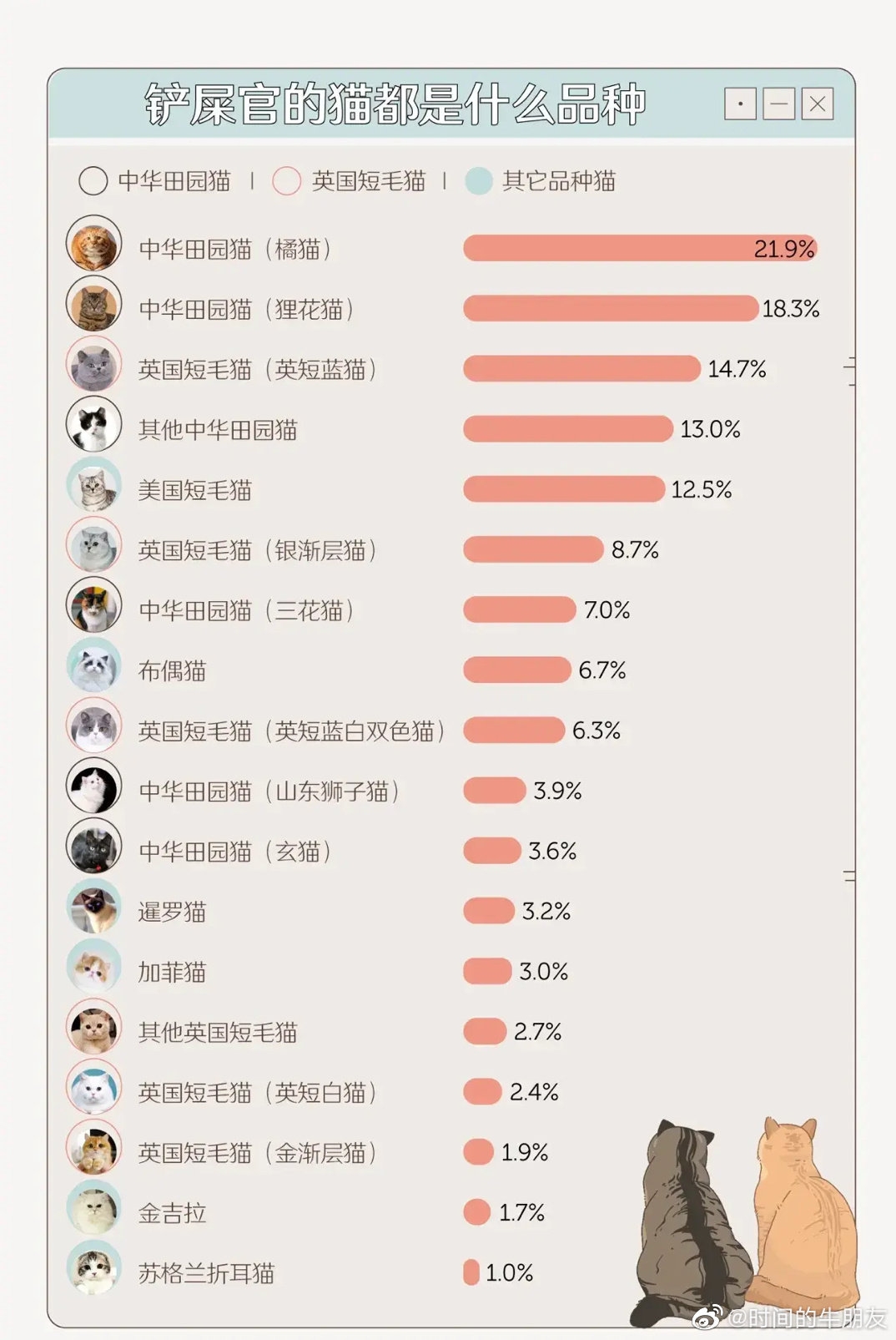 今日萌图 中国铲屎官最喜欢养的猫都是什么品种