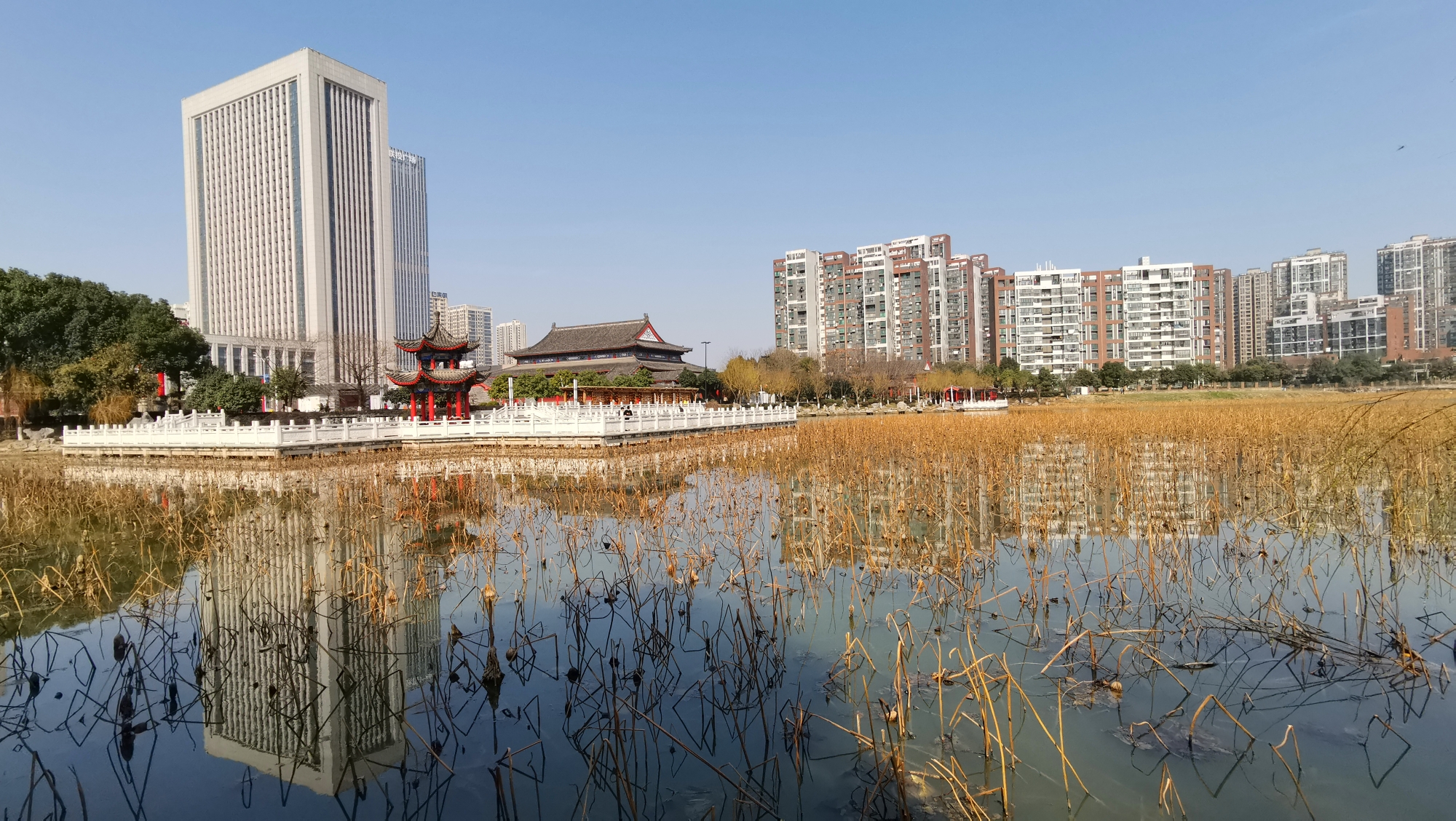 游图2021武汉江夏谭鑫培公园