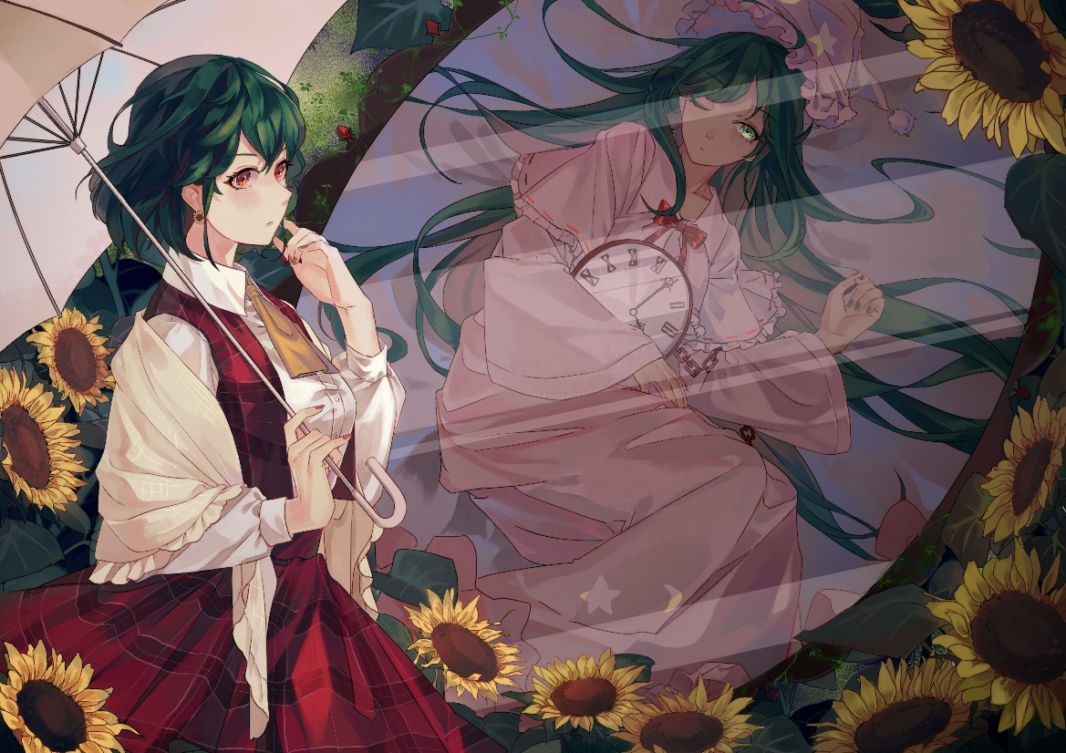 p站风见幽香花妈美图搬运10000收藏~500收藏2
