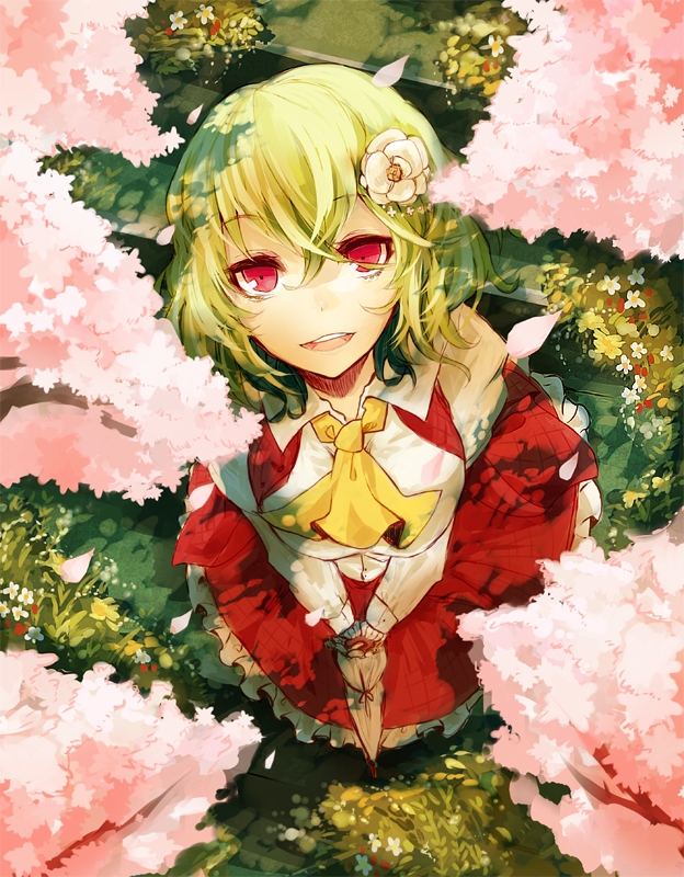 p站风见幽香花妈美图搬运10000收藏500收藏2