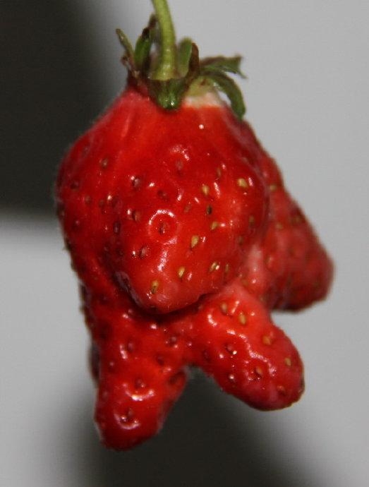 奇形怪状的草莓图片图片