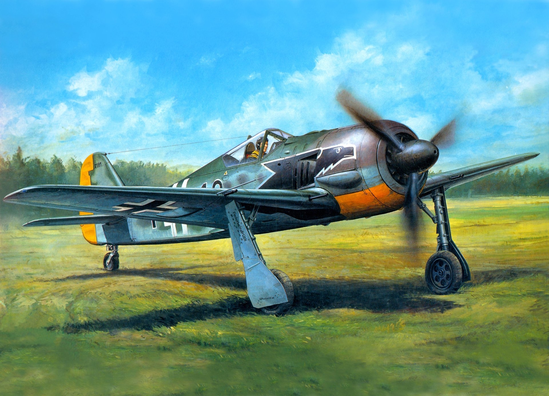 fw190百舌鸟战斗机彩图收录