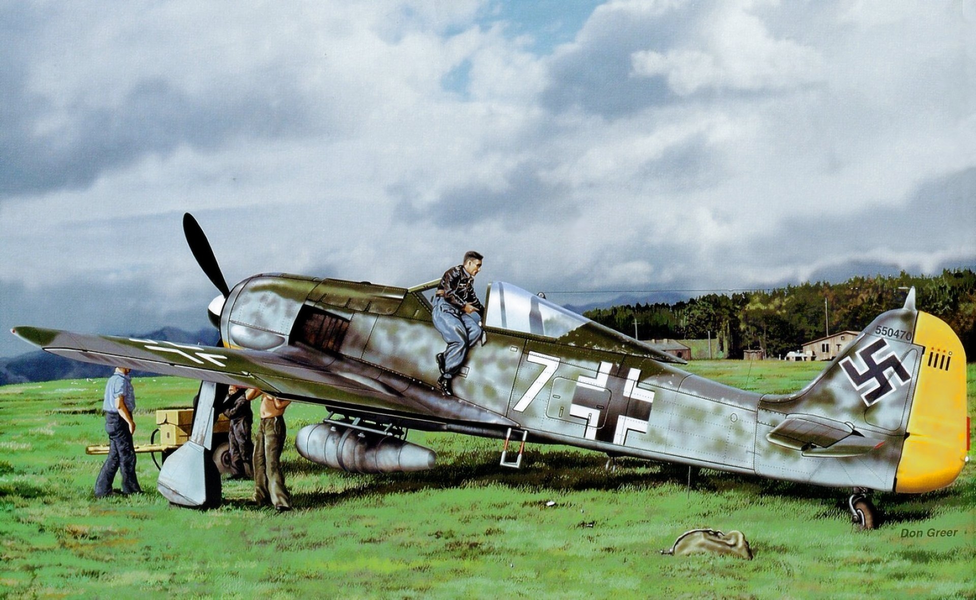 fw190百舌鸟战斗机彩图收录