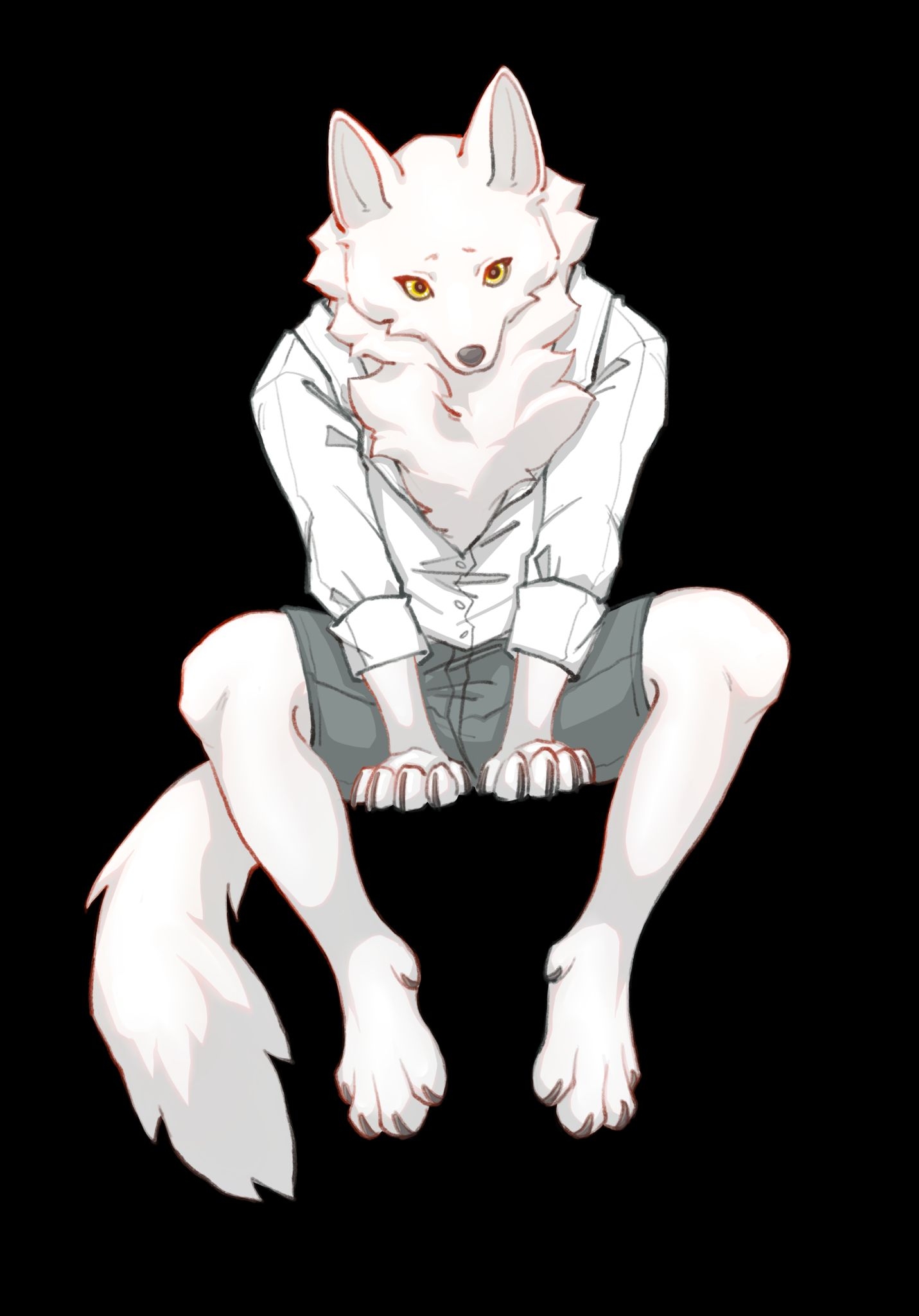 兽兽图鉴白狼狼哥自设