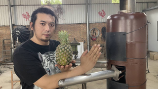 自制木人桩菠萝削皮器