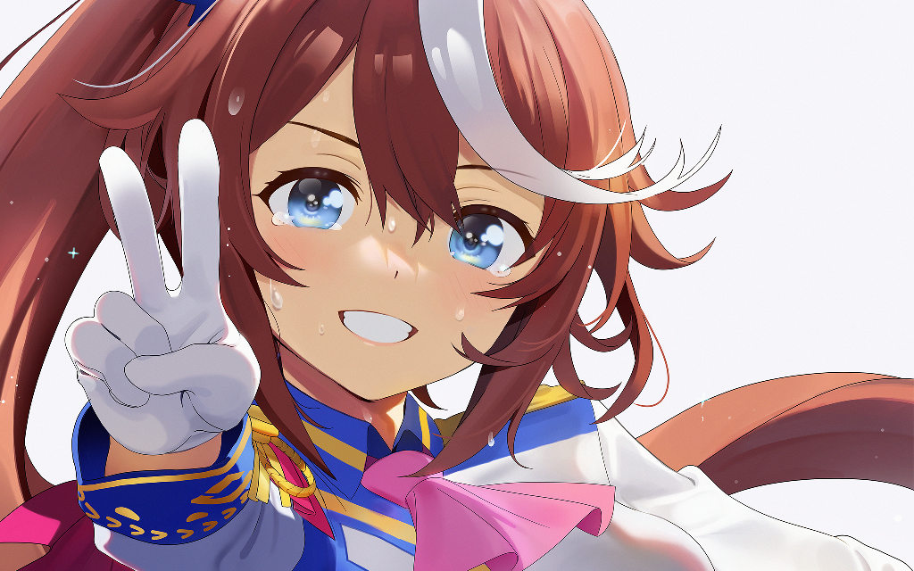 【赛马娘/东海帝皇】比任何人不甘的是我,所以,一决胜负吧!