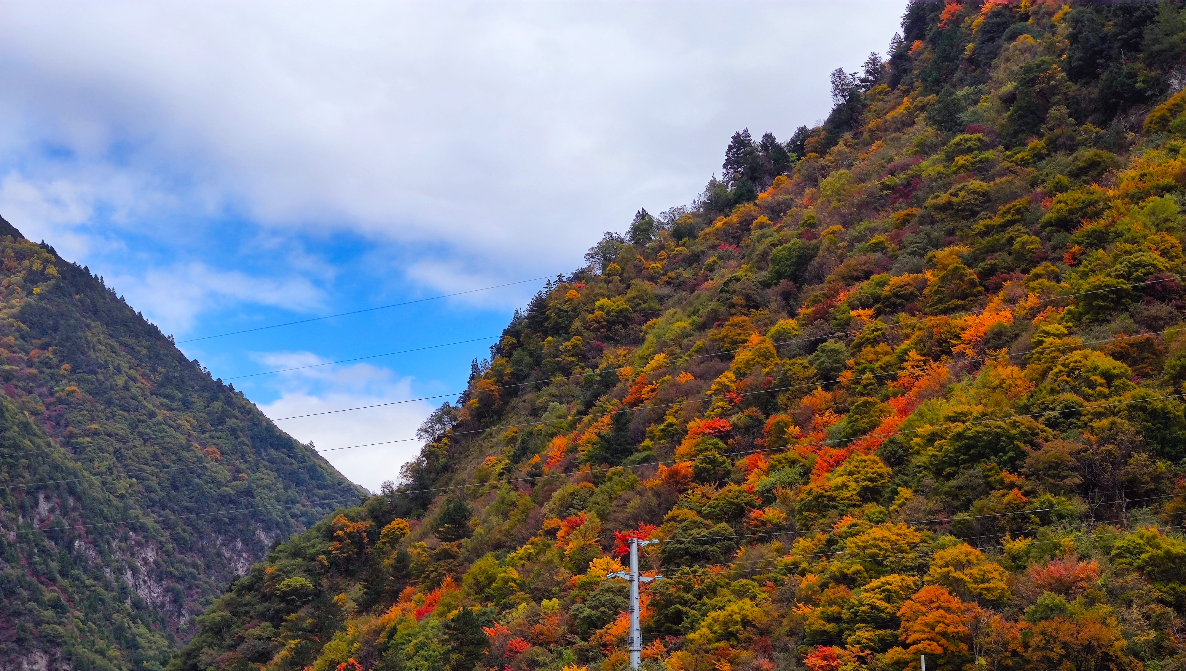 成都毕棚沟10月两日游(大图预警流量慎重!