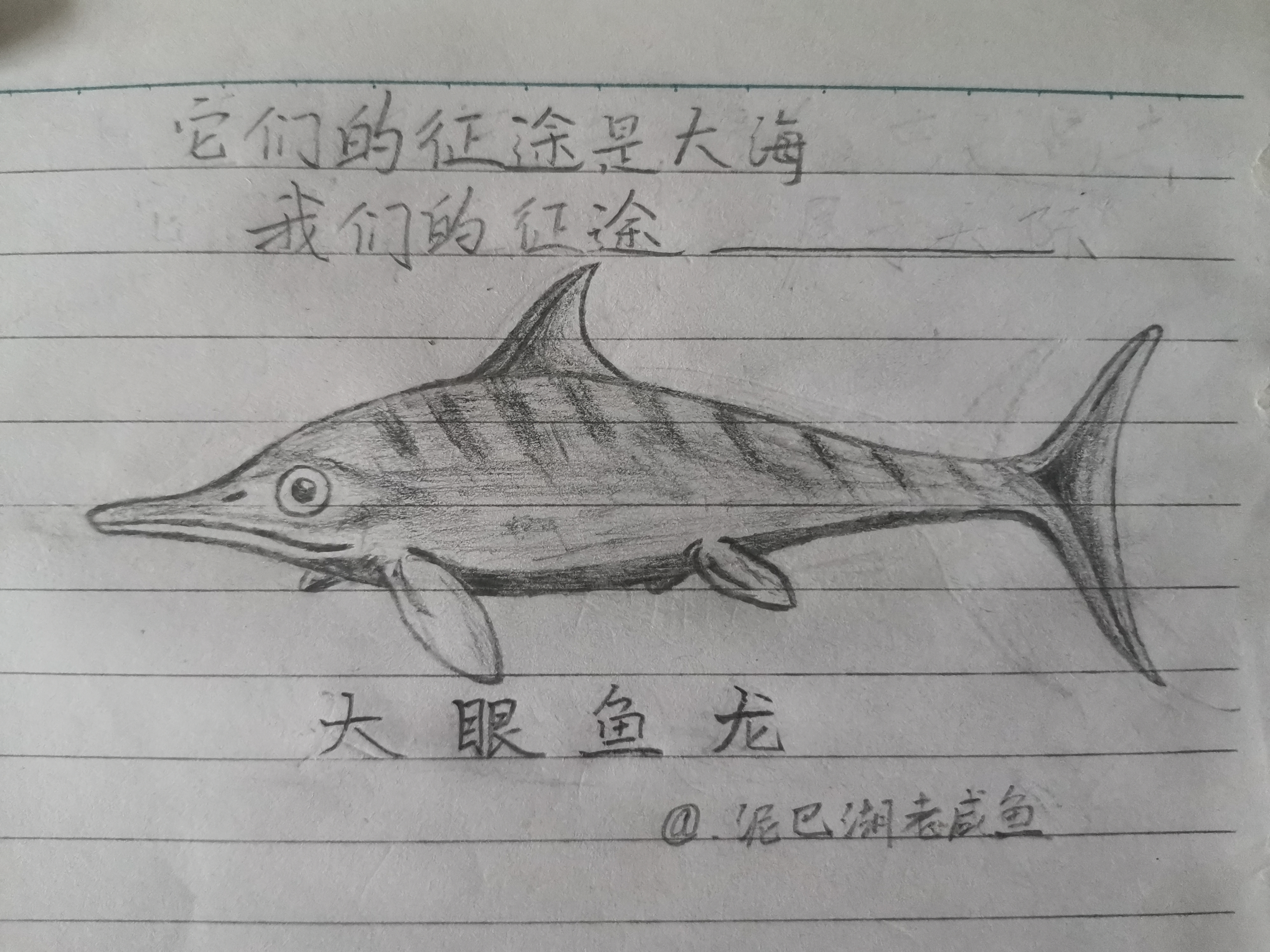 【鱼龙潜跃】其一:临摹大眼鱼龙复原图,简述鱼龙的兴衰过往