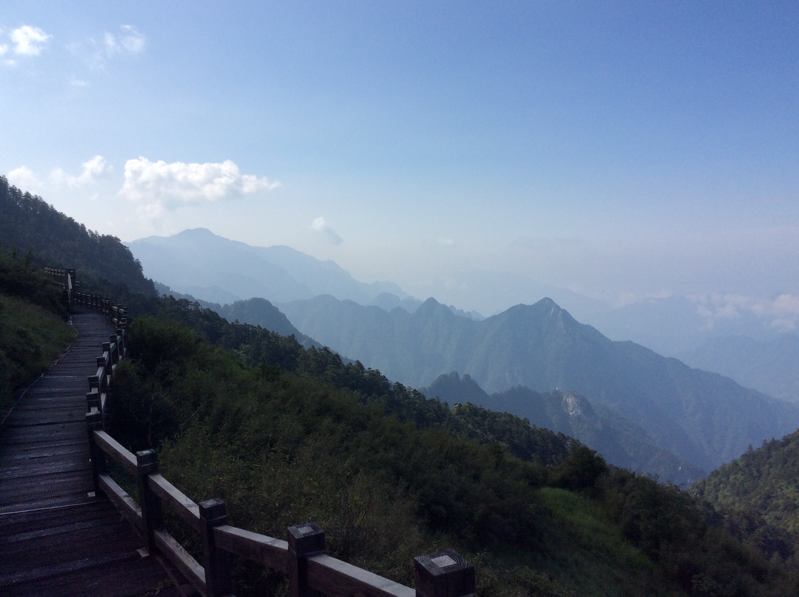 走过皖鄂大地:陡山深林藏神农