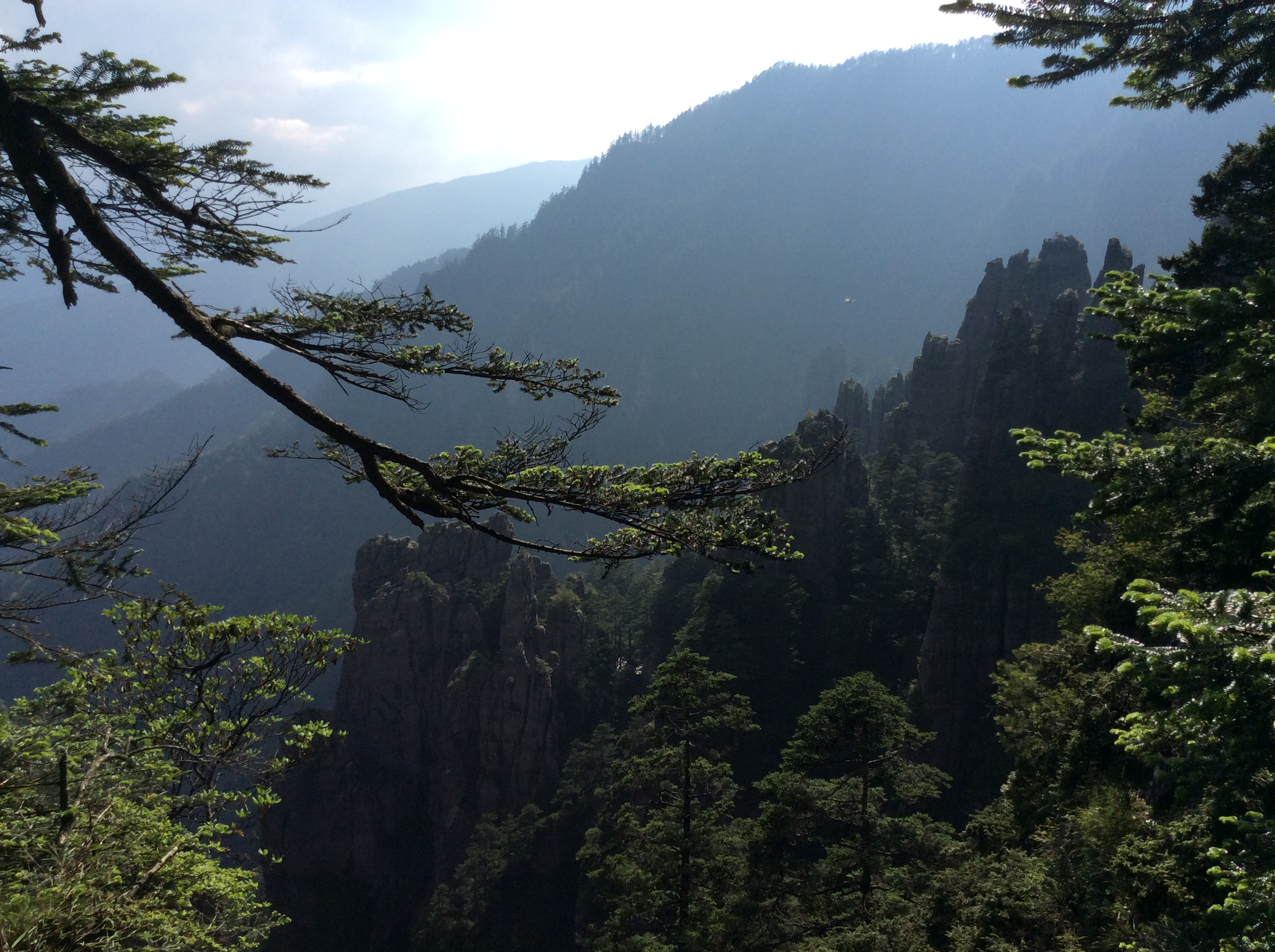 走过皖鄂大地:陡山深林藏神农