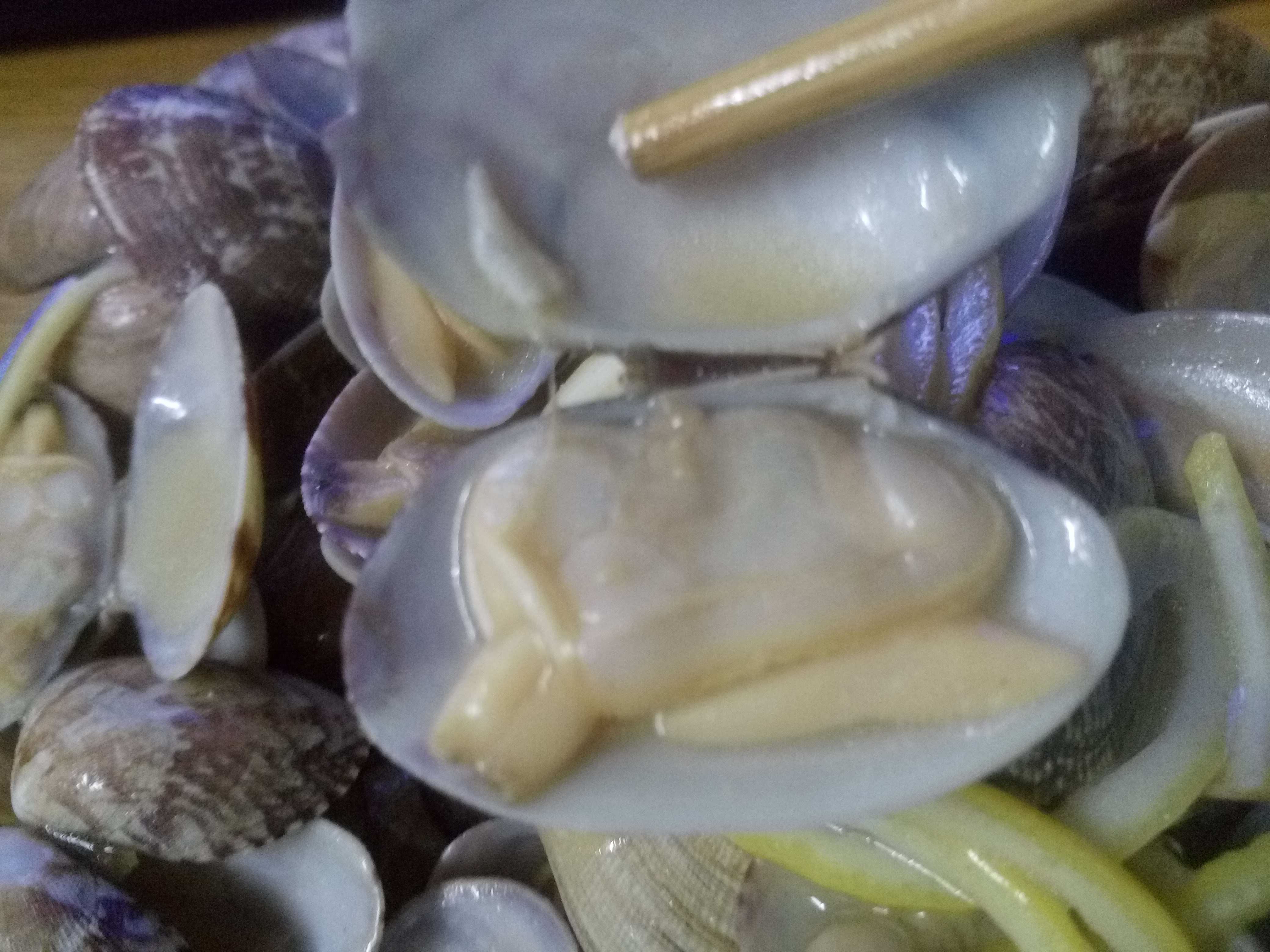 【烹饪】柠檬炒黑蚬子 - acfun弹幕视频网 - 认真你就输啦 (?ω?