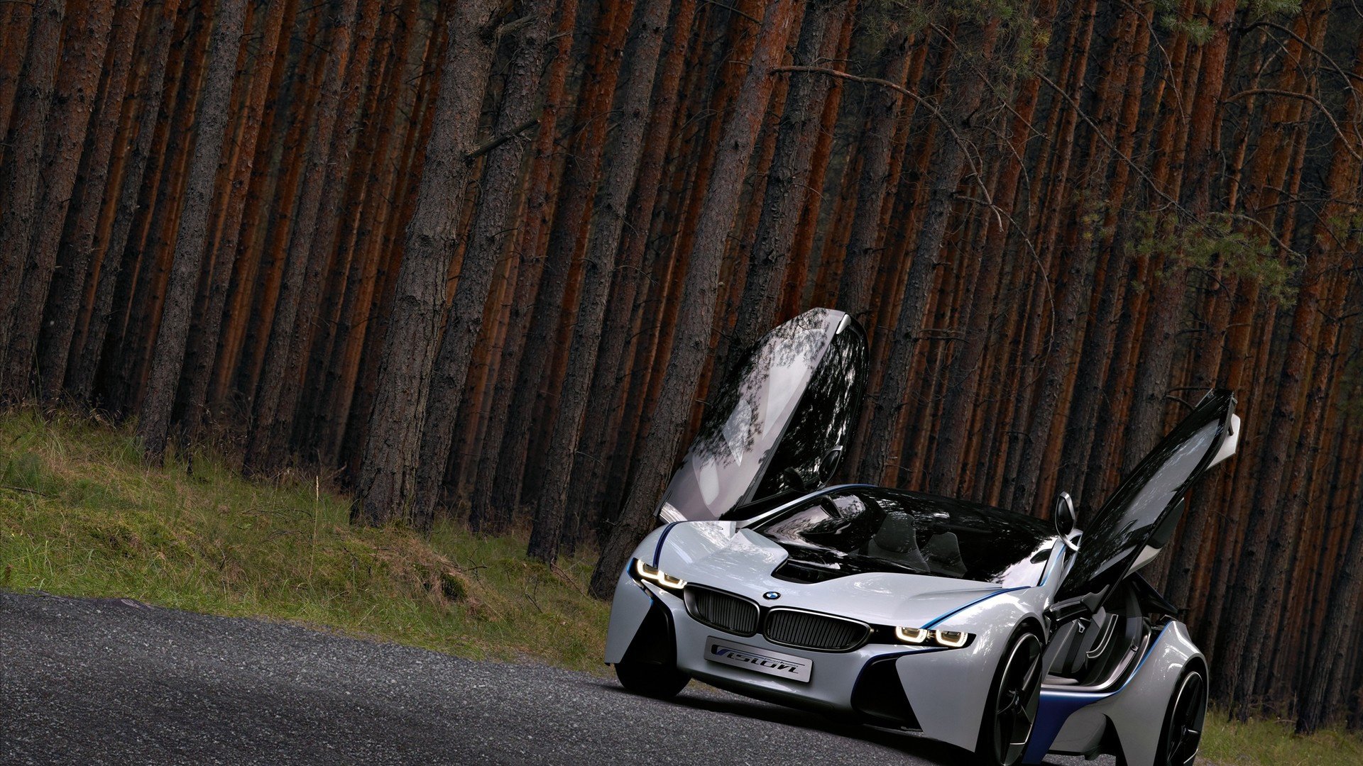 每日壁纸第八十一期