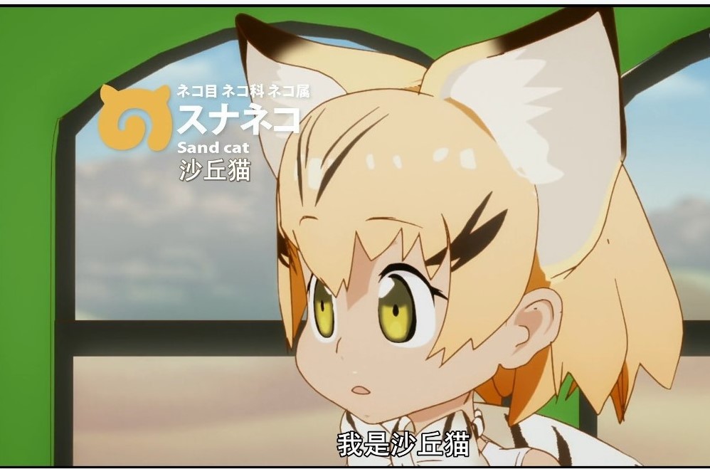 兽娘动物园动物大科普vol.1——沙丘猫