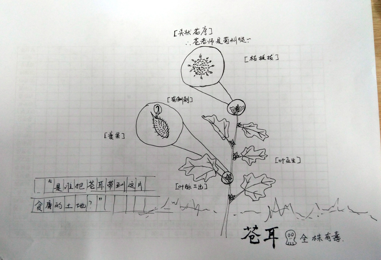 长大的启示600字