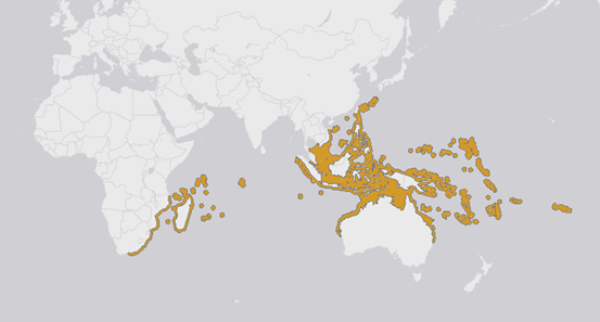 细枝鹿角珊瑚基本就分布于人为活动密集区.图片:red list