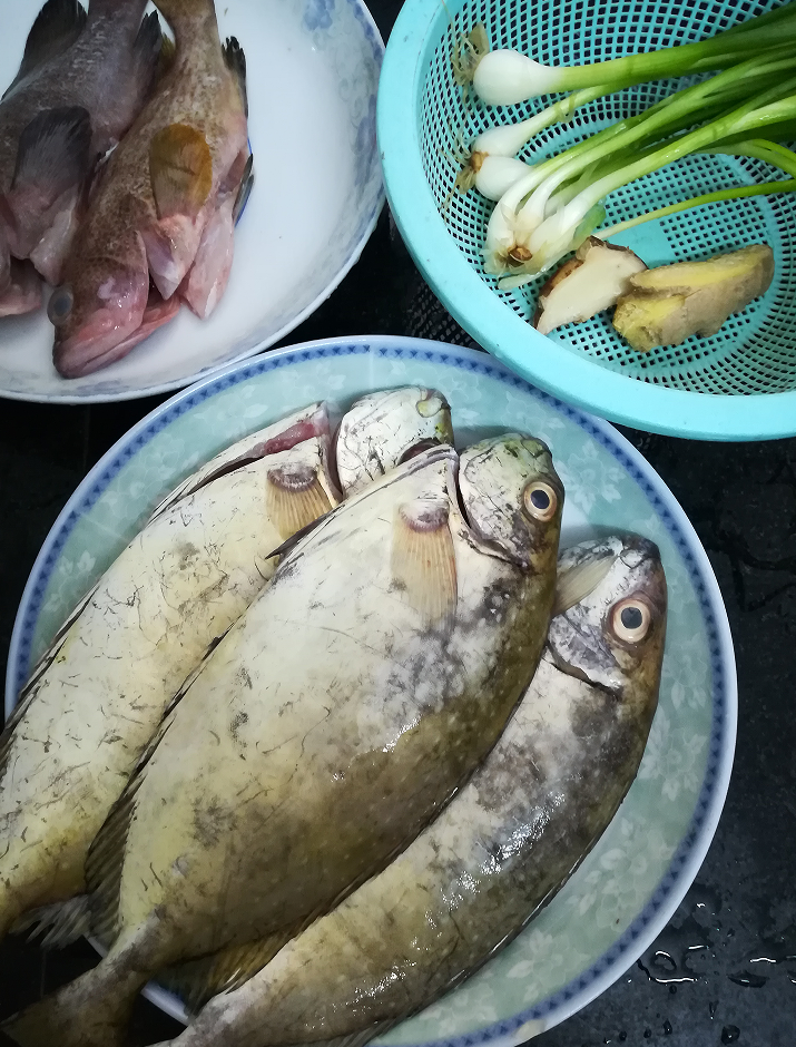 【认真做鱼系列01】篮子鱼 - acfun弹幕视频网 - 认真你就输啦 (?ω?