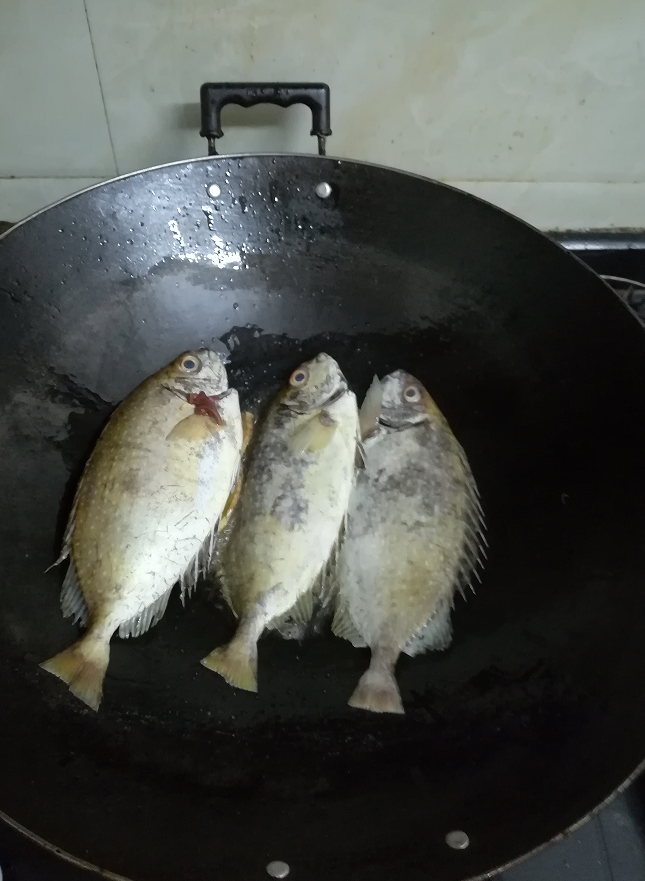 【认真做鱼系列01】篮子鱼 - acfun弹幕视频网 - 认真你就输啦 (?ω?