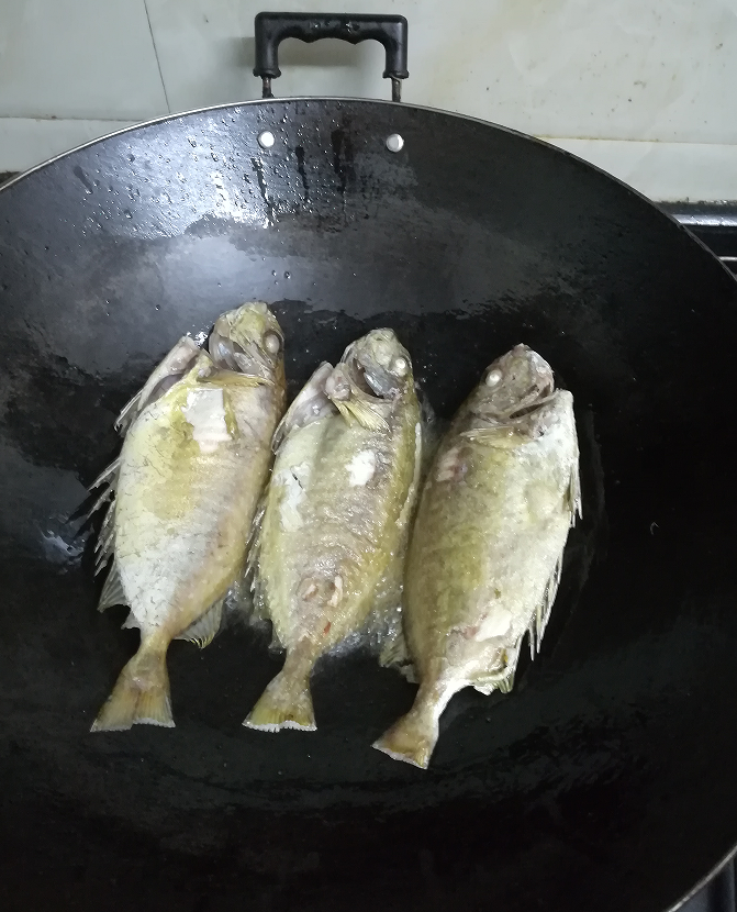 【认真做鱼系列01】篮子鱼 - acfun弹幕视频网 - 认真你就输啦 (?ω?