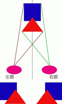 立体视觉示意