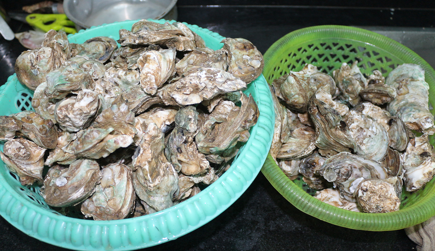 认真做鱼系列30蚝20之宵夜档