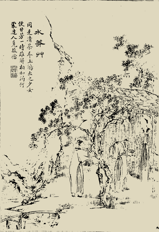 72,水莽草