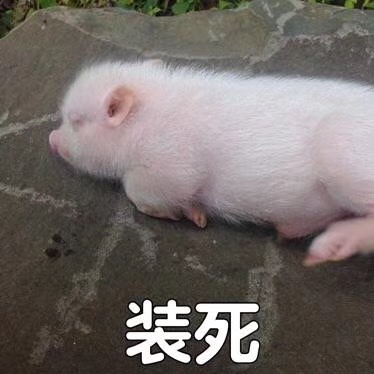 一颗躁动不安想搞事的心啊!