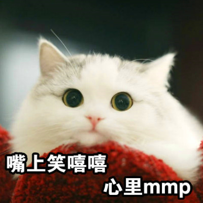 家的馒头和狐狸更新的表情包 诶嘿嘿~~~ ~ 据说这个表情是万金油 今天