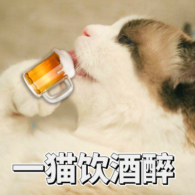 家的馒头和狐狸更新的表情包 诶嘿嘿~~~ ~ 据说这个表情是万金油 今天