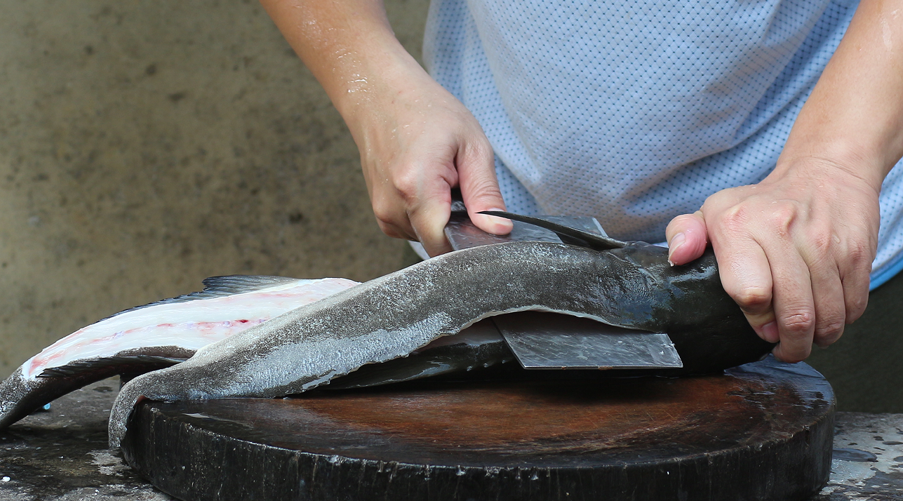 【认真做鱼系列38】水煮军曹鱼