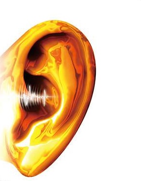 木耳升级教程——如何练成金耳朵       sapphire(群友)