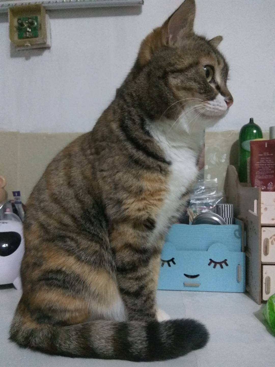 1507800926400.jpg