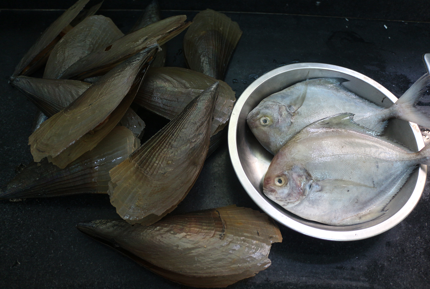 带子切开,去掉一边壳