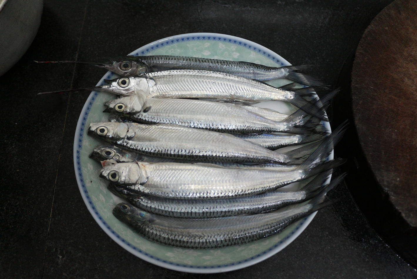 【认真做鱼系列60】鹤针 失踪经历