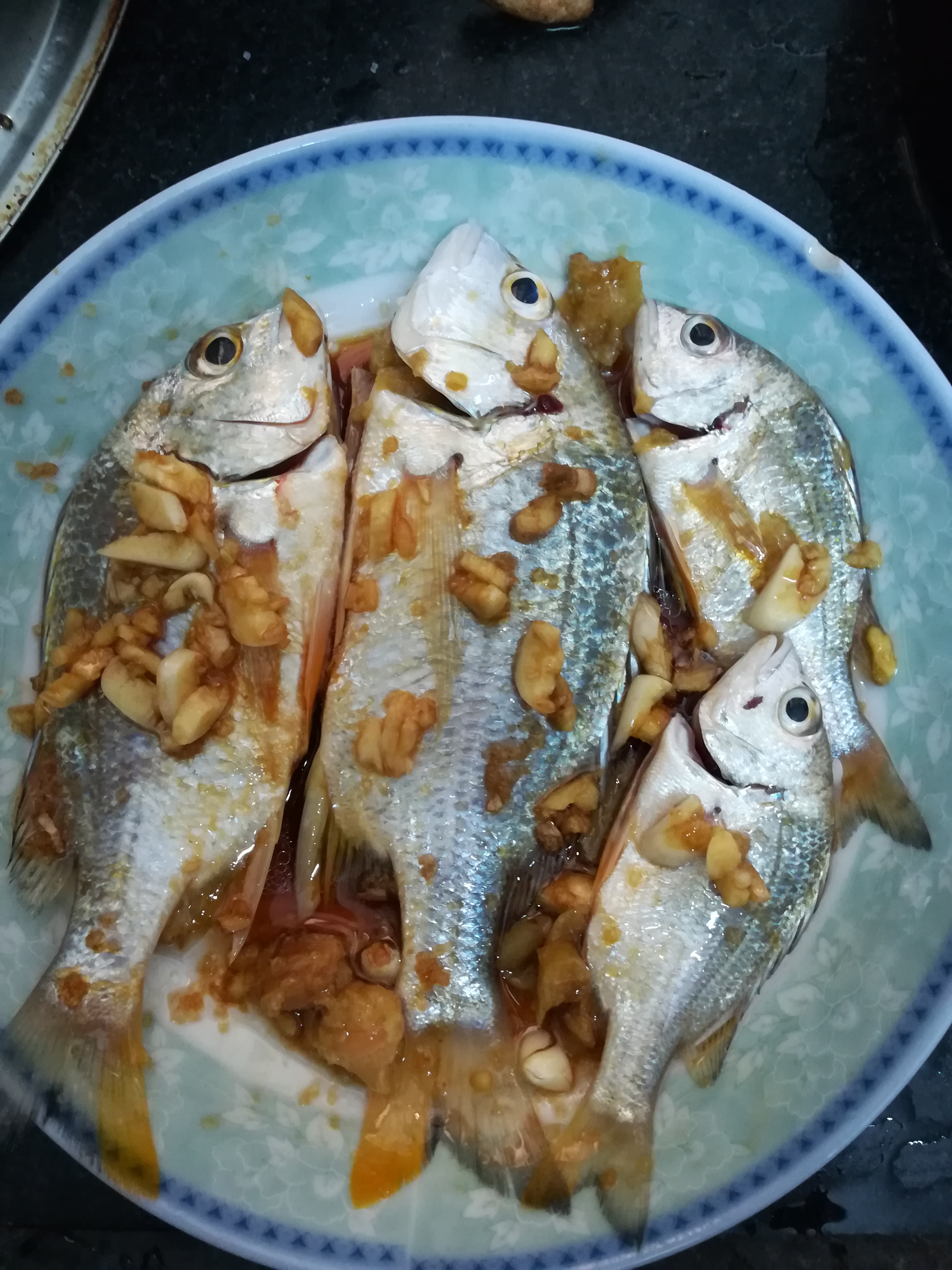 【认真做鱼系列60】鹤针 失踪经历