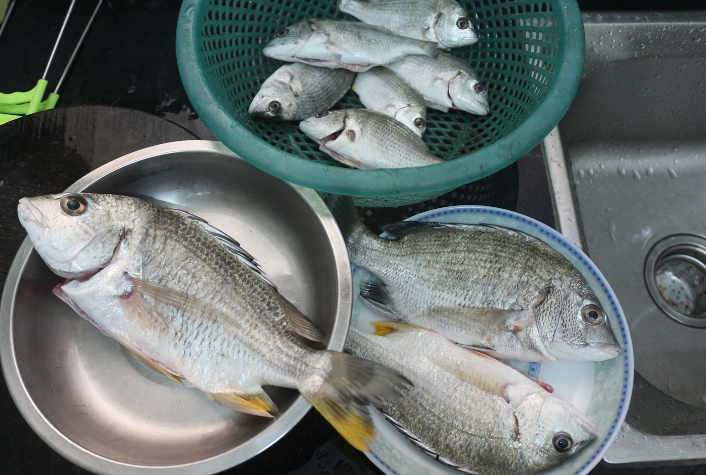 先小火慢炸熟透繼續把油燒熱,到有一點點白煙再把魚丟進去復炸至金黃