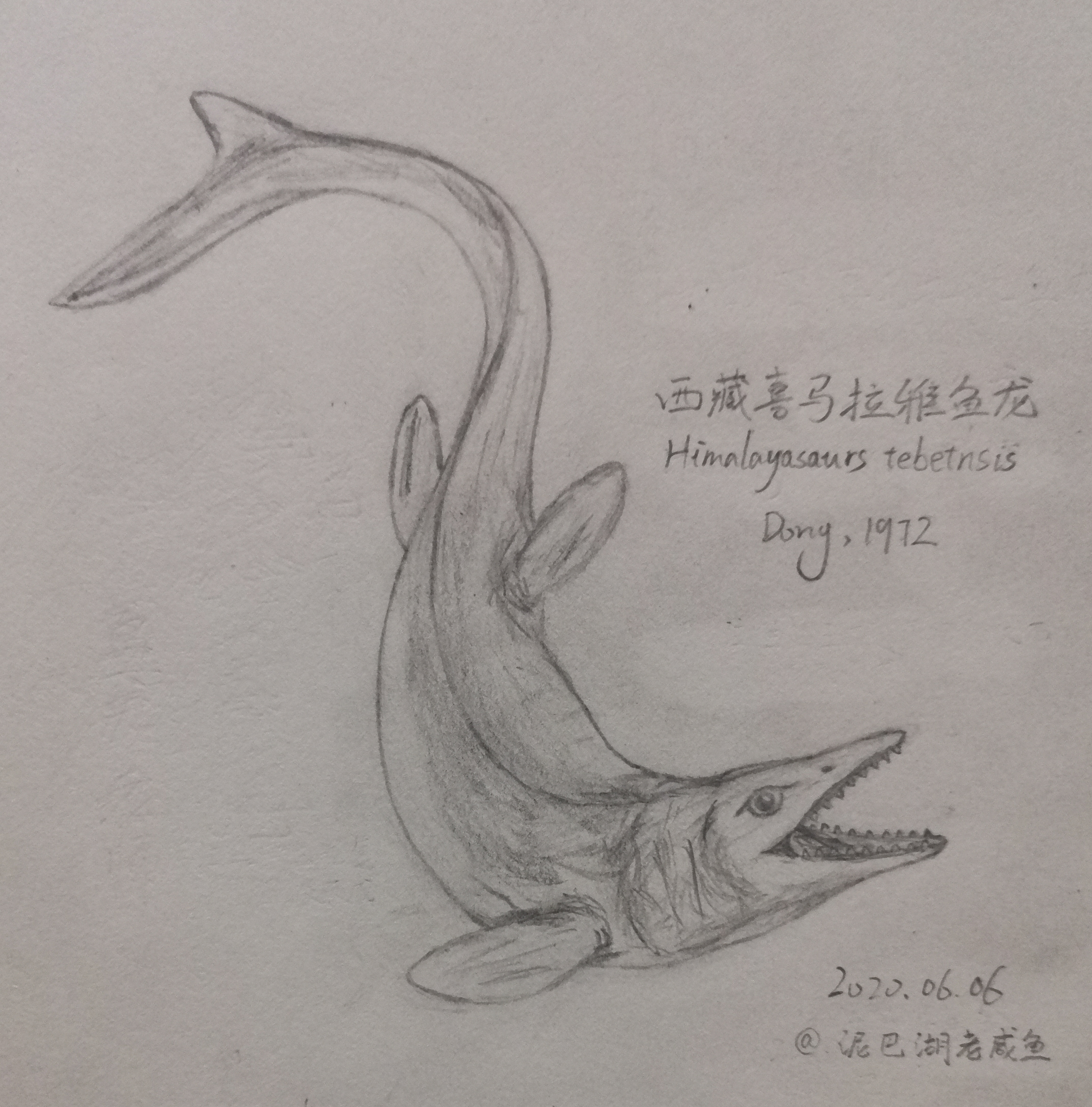 丑新入驻也许我是a站第一个画古生物复原图的用户